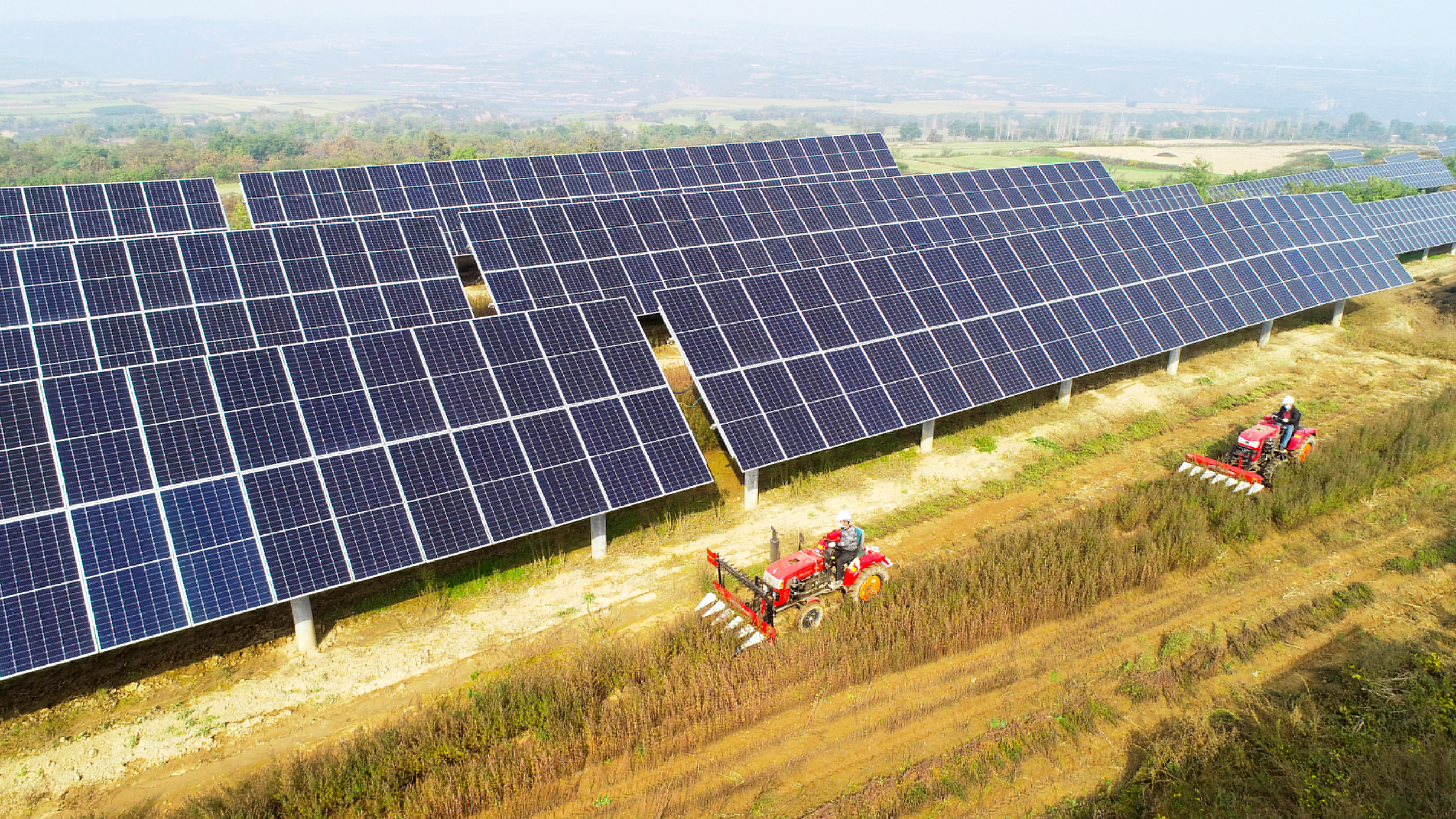 圖3.大唐西安熱電廠(chǎng)永壽高廟山光伏電站進(jìn)行中草藥收割工作，實(shí)現惠農共贏(yíng).jpg